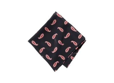 BEAMS Pocket Chief Paisley Print "Navy"