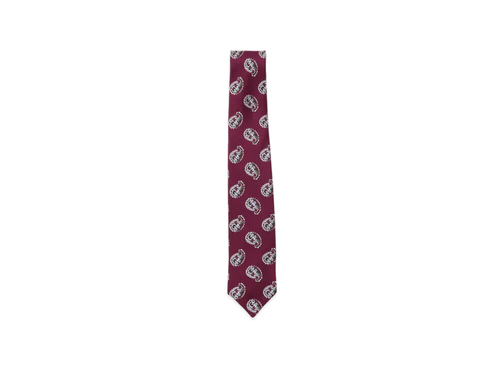 BEAMS Silk Tie Paisley Print "Burgundy"