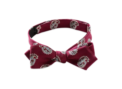 BEAMS Silk Bow Tie Big Paisley Print "Burgundy"