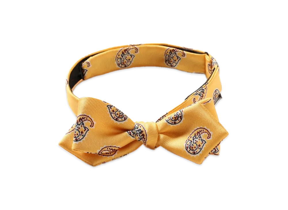 BEAMS Silk Bow Tie Big Paisley Print "Yellow"