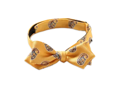 BEAMS Silk Bow Tie Big Paisley Print "Yellow"
