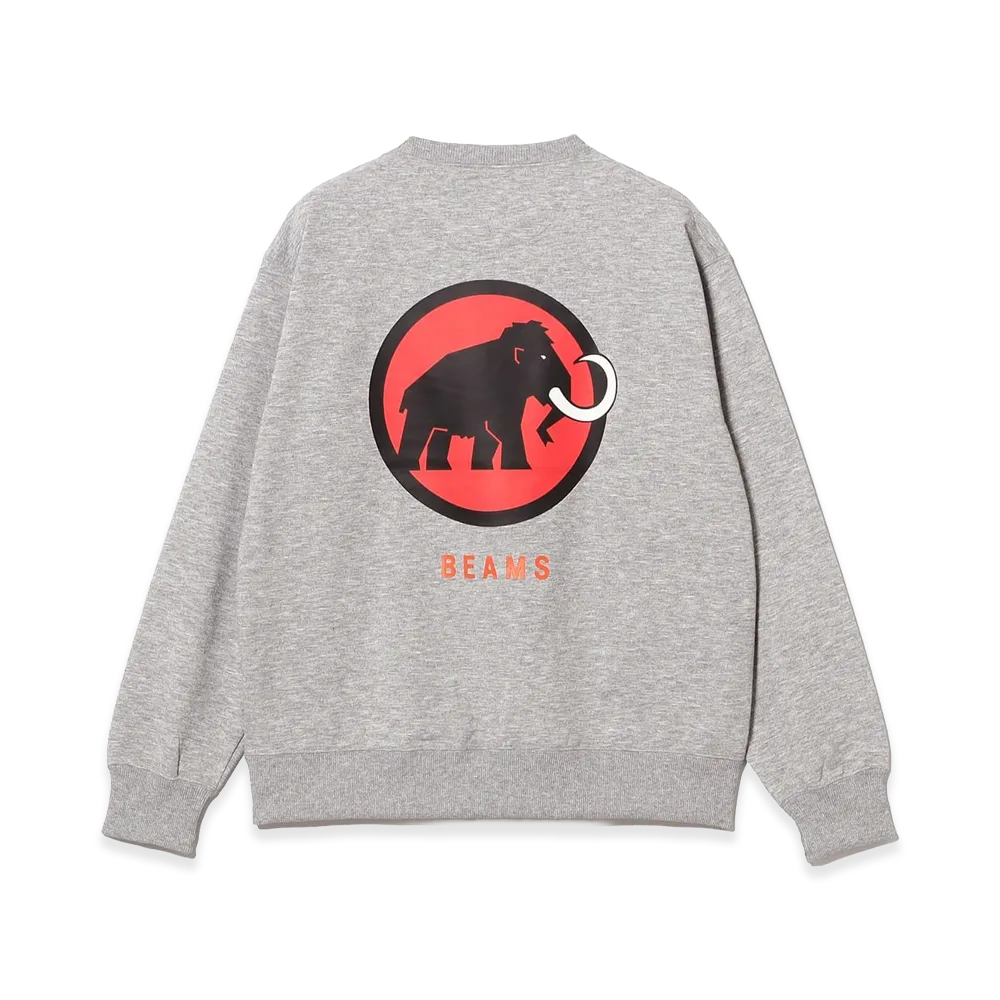 BEAMS x MAMMUT Serac Extreme Ml Crew Neck "Grey"