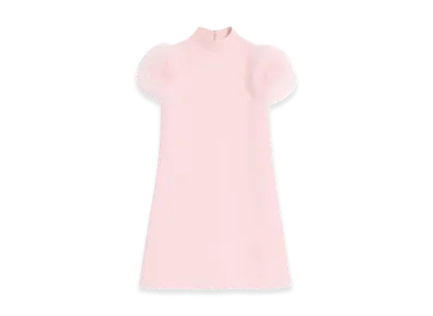 Valentino Women's Feathered Wool And Silk Dress "Pink"