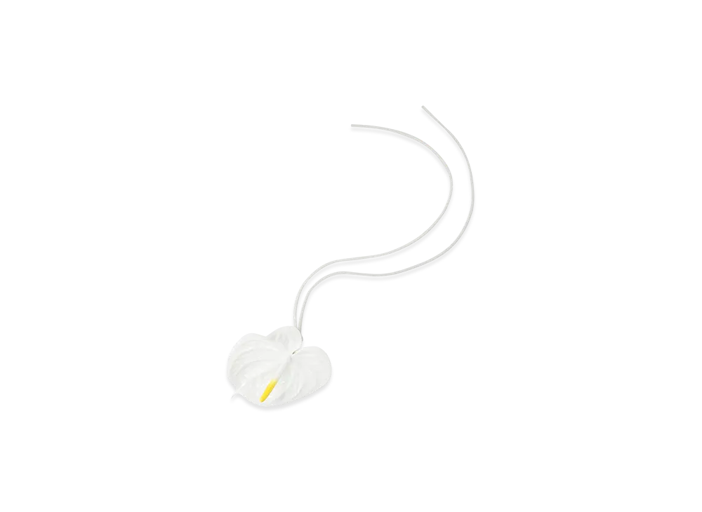 LOEWE Anthurium Charm "Soft White"