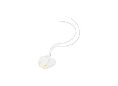 LOEWE Anthurium Charm "Soft White"