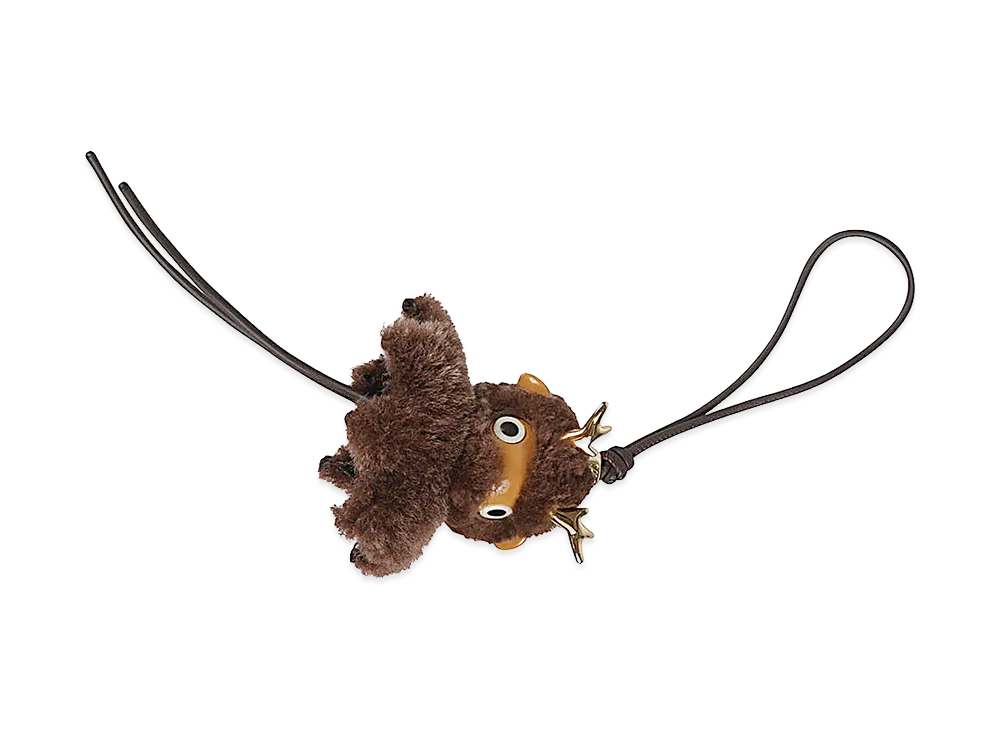 LOEWE Women's Accessories "Brown"