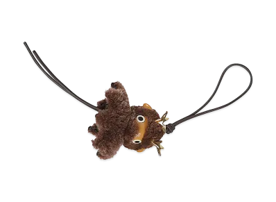 LOEWE Women's Accessories "Brown"