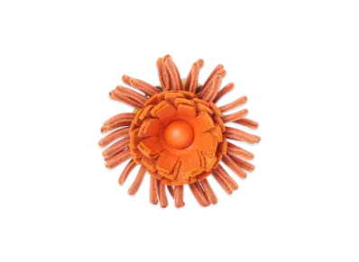 LOEWE Cactus Stud Flower "Green/Coral"