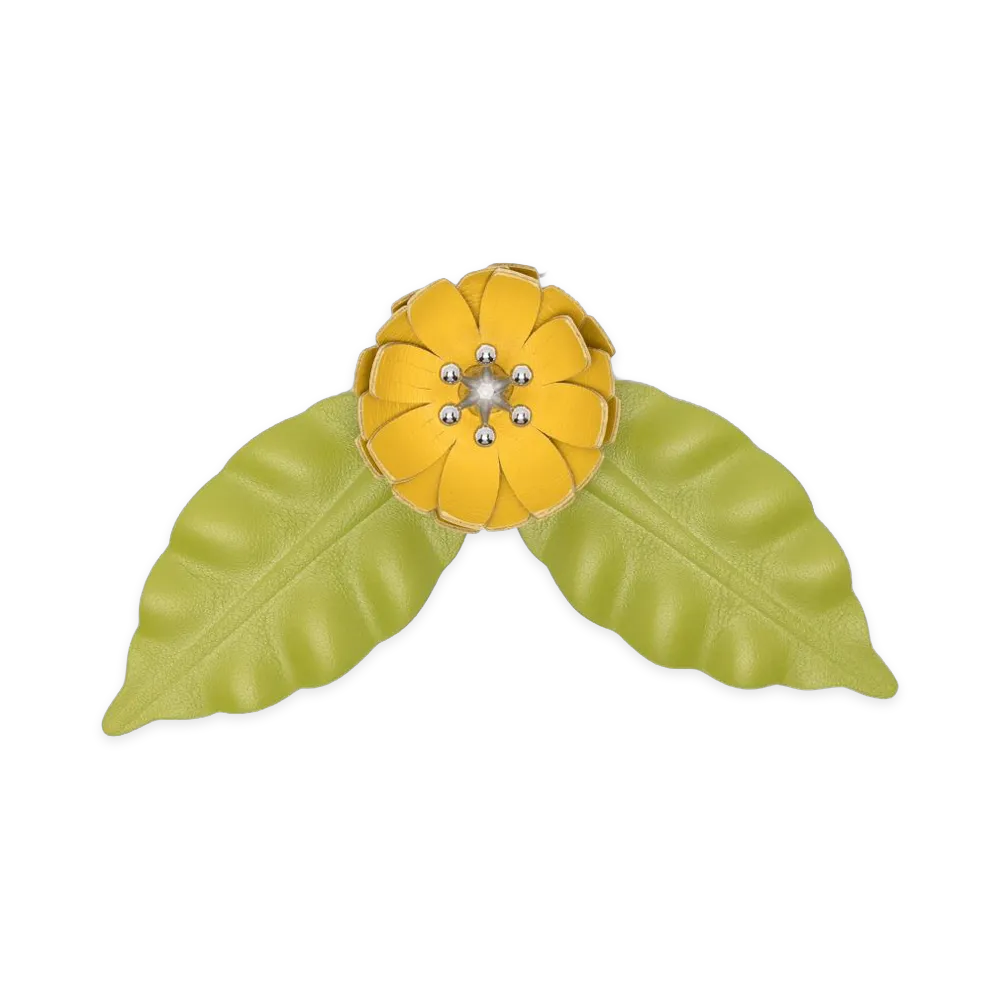 LOEWE Women's Paula's Ibiza Bijoux "Yellow"