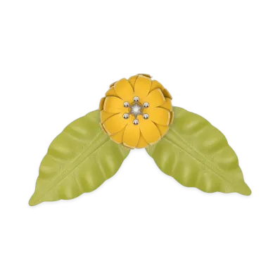LOEWE Women's Paula's Ibiza Bijoux "Yellow"