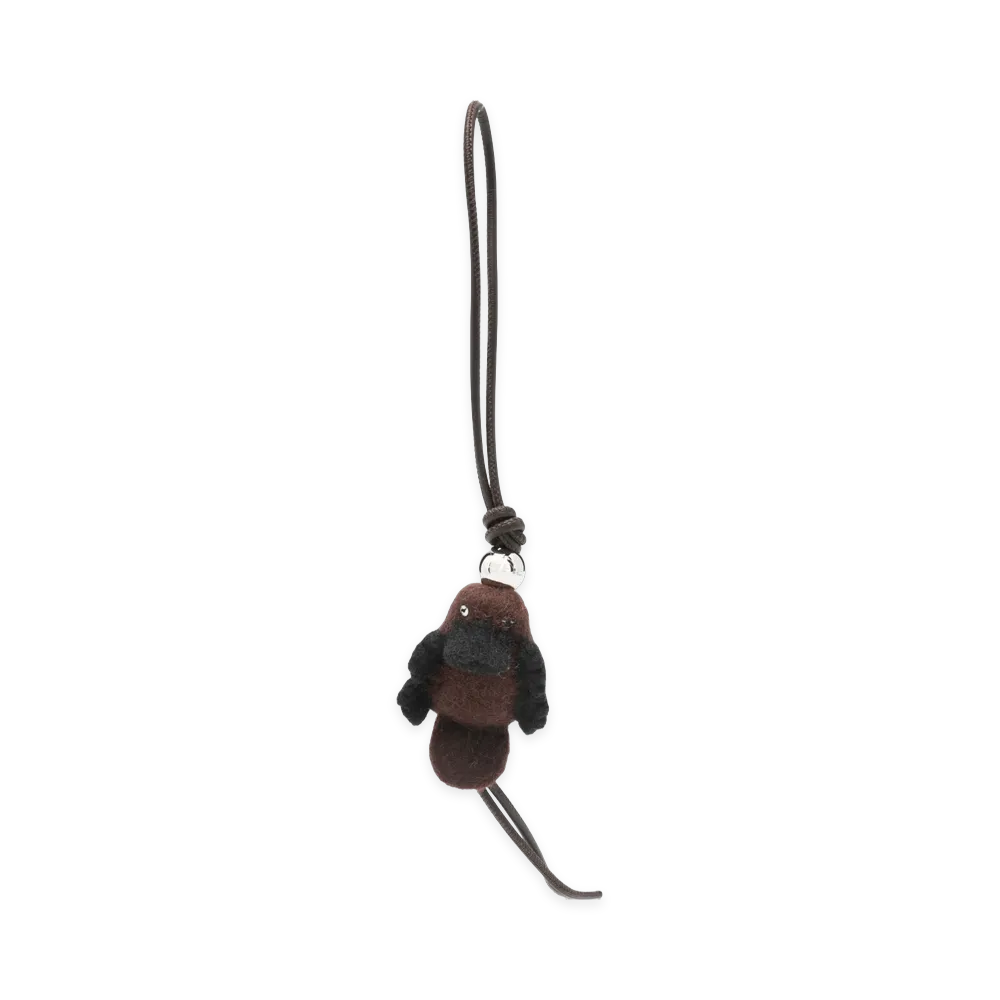 LOEWE Women's Accessories "Brown"