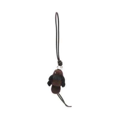 LOEWE Women's Accessories "Brown"