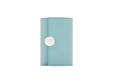 LOEWE Pebble Vertical Wallet Small "Water"
