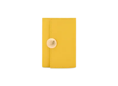 LOEWE Pebble Vertical Wallet Small "Sunny"