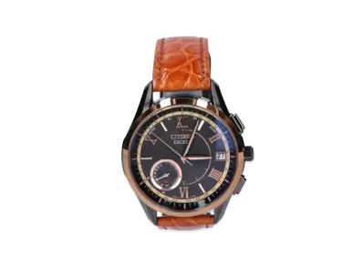 CITIZEN Exceed Eco-Drive Direct Flight 100th Anniversary Limited Model CC3054-04E