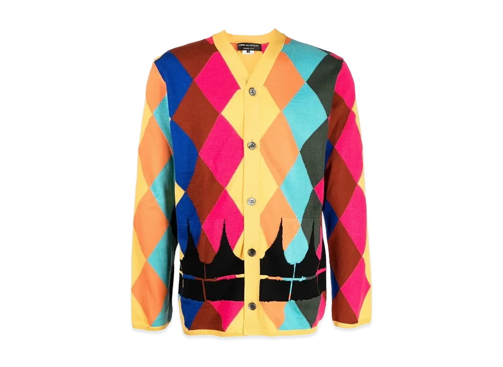 COMME des GARCONS HOMME PLUS V-Neck Cardigan "Multi"