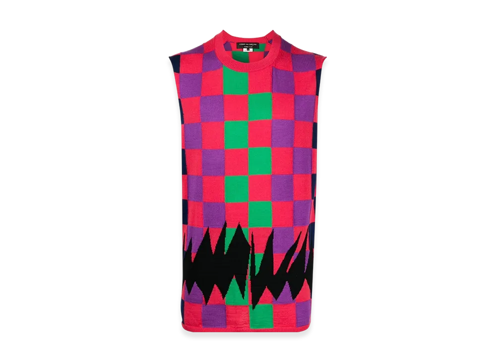 COMME des GARCONS HOMME PLUS Intarsia Knit Top "Pink"