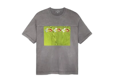 Cav Empt (C.E) AS NCLOG2 HEAVY BIG T "Grey"