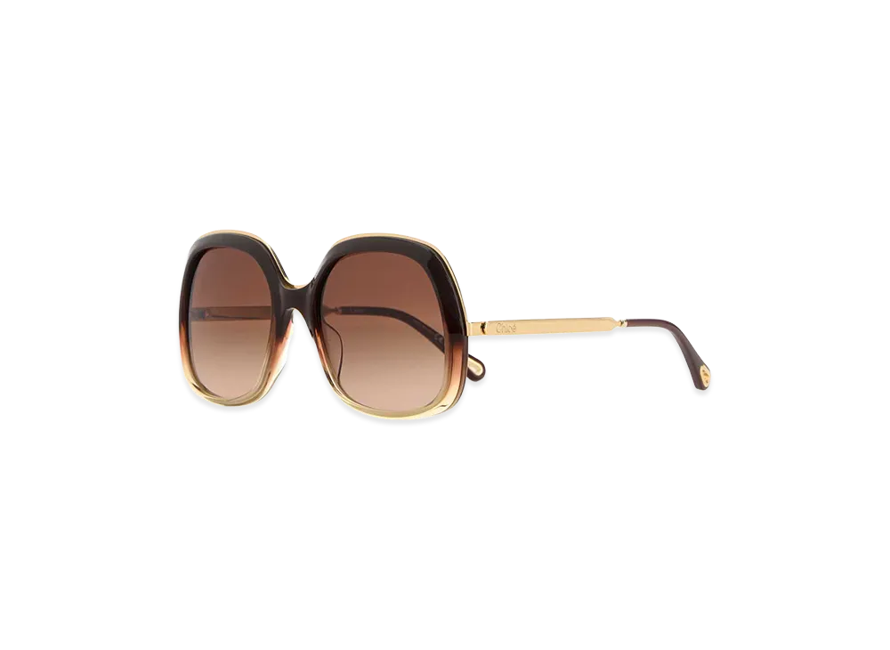 Chloe Women's Acetate Sunglasses "Brown"
