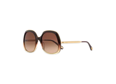 Chloe Women's Acetate Sunglasses "Brown"