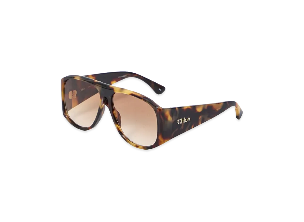 Chloe Women's Acetate Sunglasses "Brown"