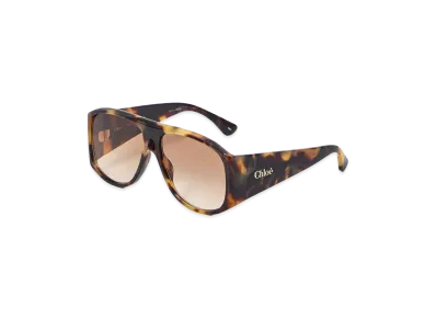 Chloe Women's Acetate Sunglasses "Brown"