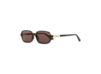 Chloe Women's Printed Acetate Sunglasses "Brown"