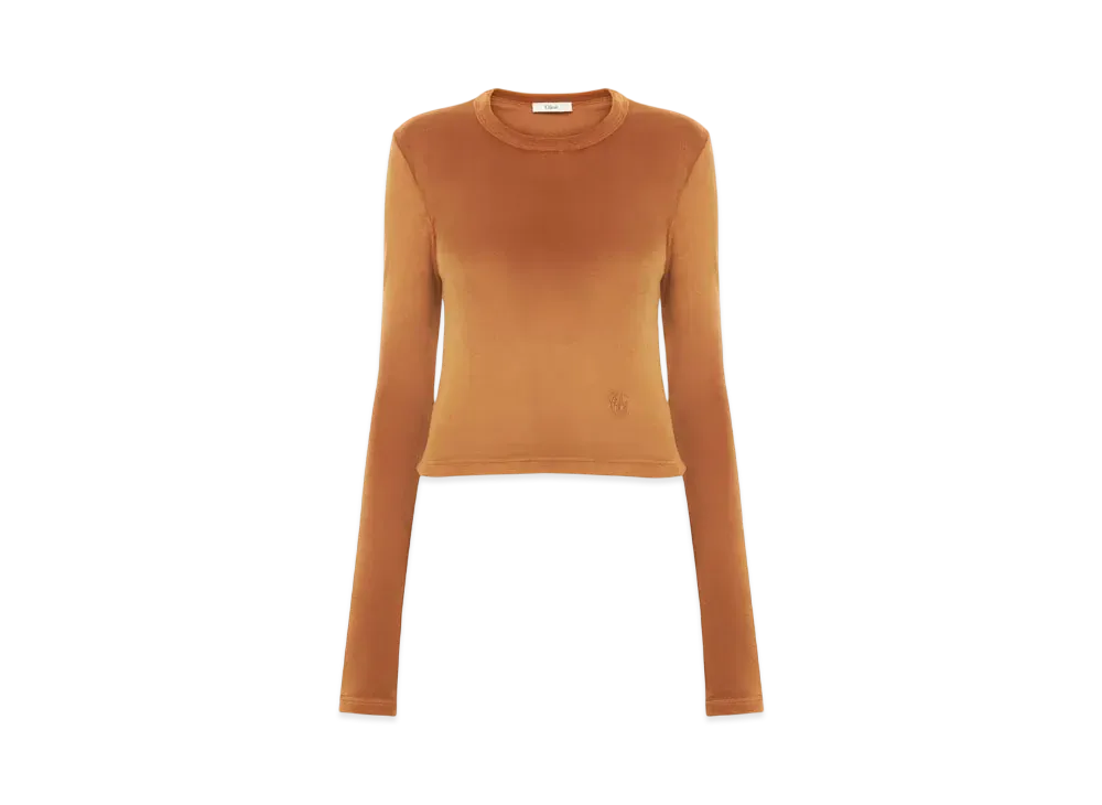 Chloe Long-Sleeve Top In Velvet Jersey "Autumnal Brown"