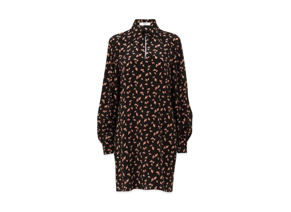 Chloe Long-Sleeve Mini Dress In Printed Crepe De Chine "Pearl Blush"