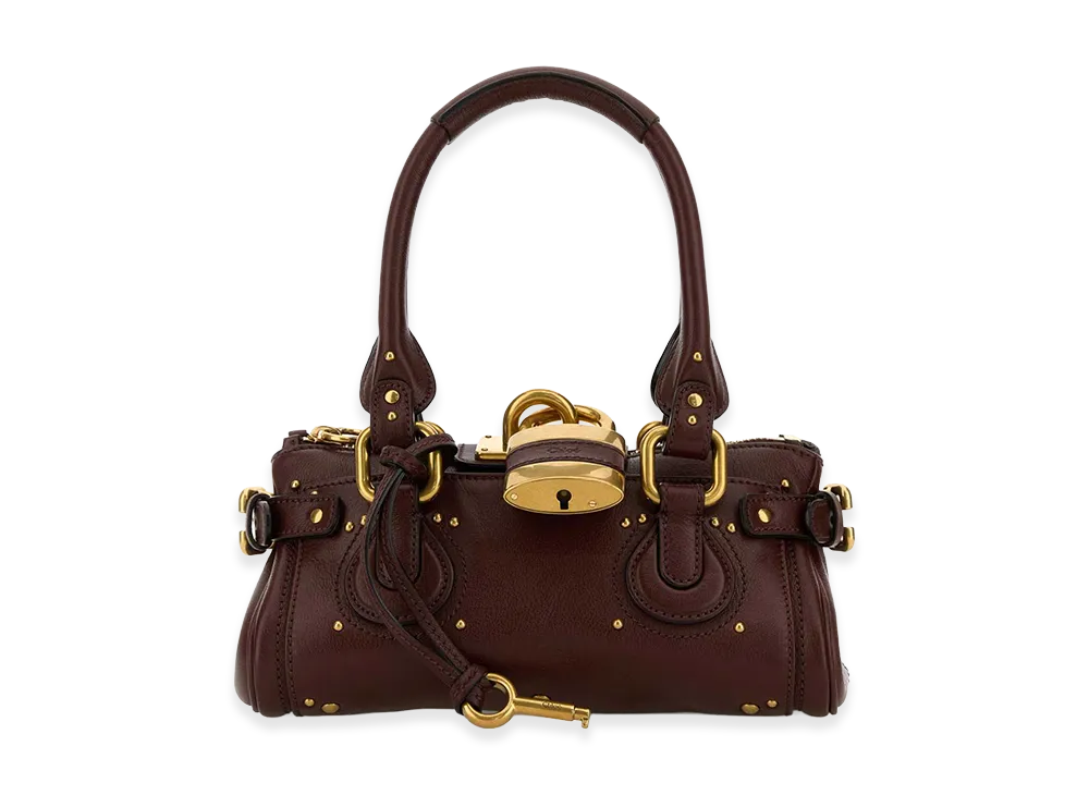 Chloe Women's Small Paddington Handbag "Brown"