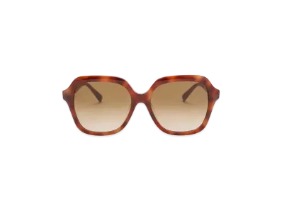 CHARLES & KEITH Recycled Acetate Wide Square Sunglasses "T.Shell"