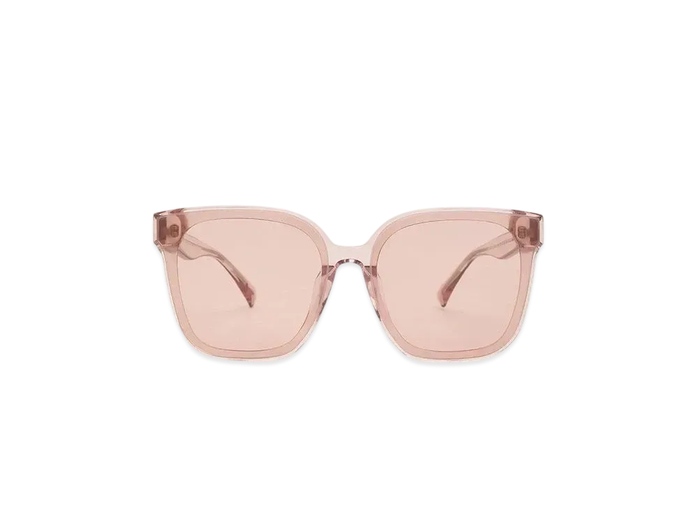 CHARLES & KEITH Gavine Oversized Butterfly Sunglasses "Pink"