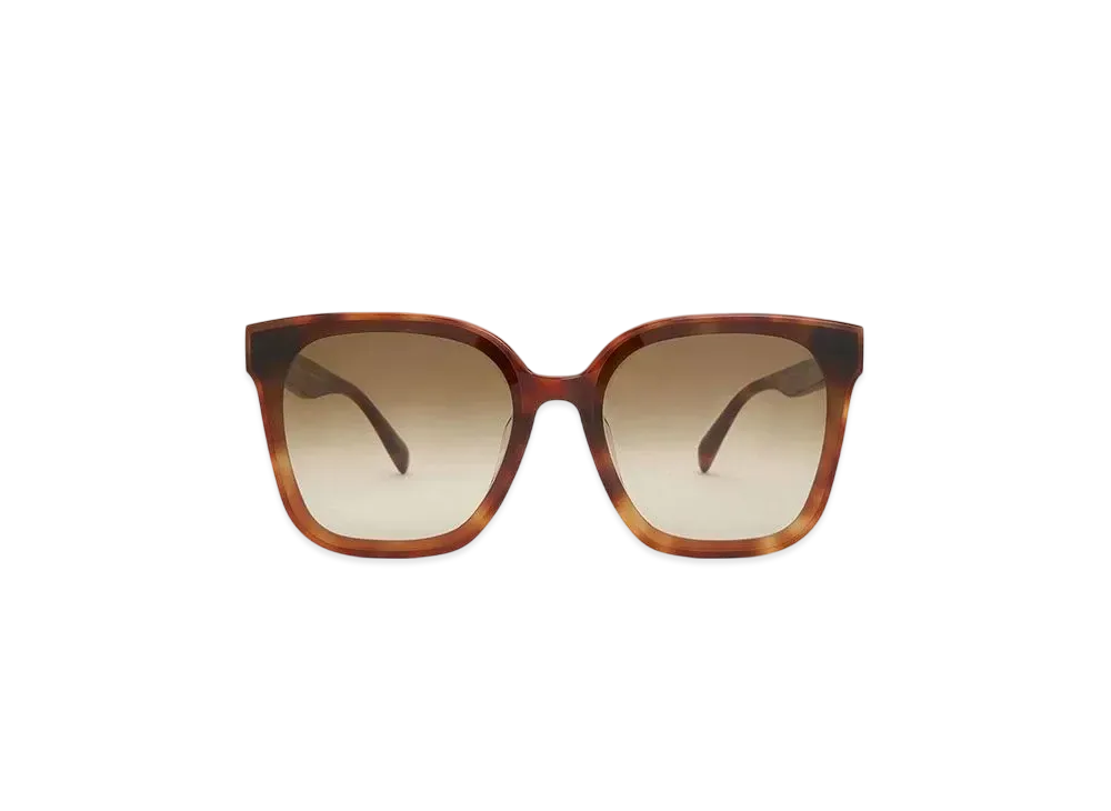 CHARLES & KEITH Gavine Oversized Butterfly Sunglasses "T.Shell"