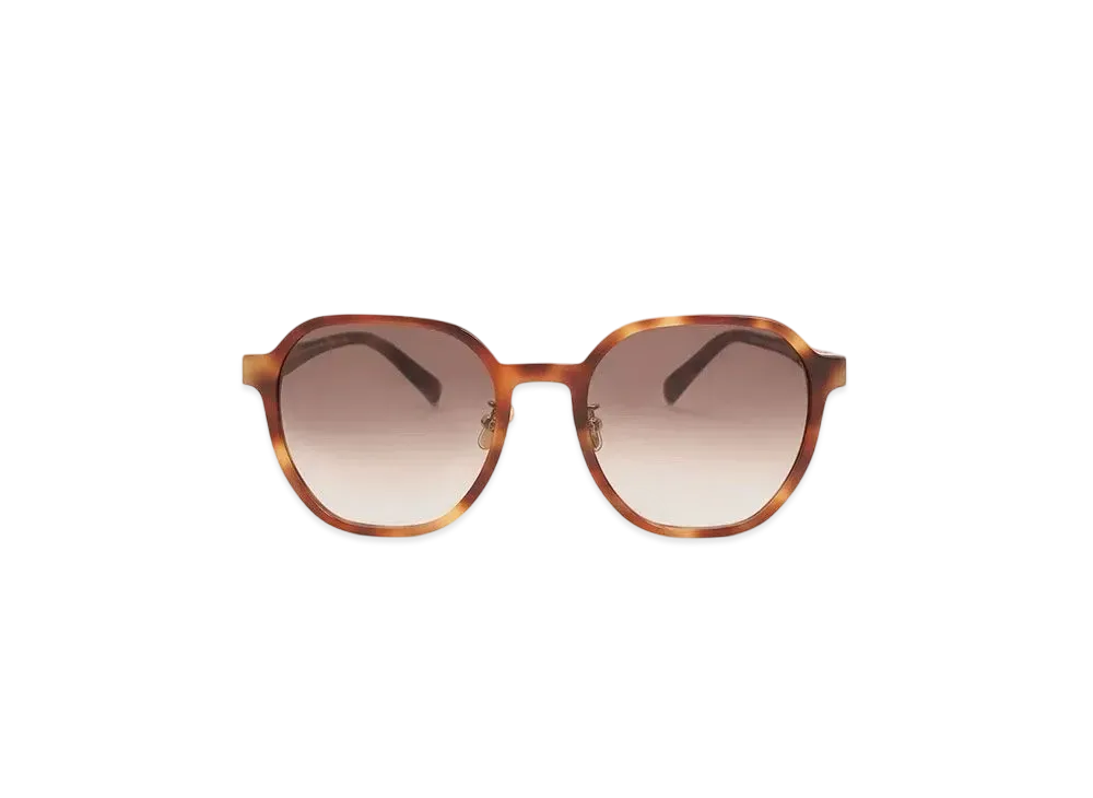 CHARLES & KEITH Square Recycled Acetate Sunglasses "T.Shell"