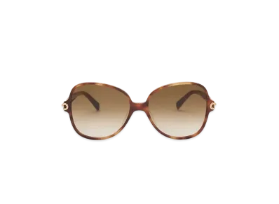 CHARLES & KEITH Chain-Link Oversized Butterfly Sunglasses "T.Shell"