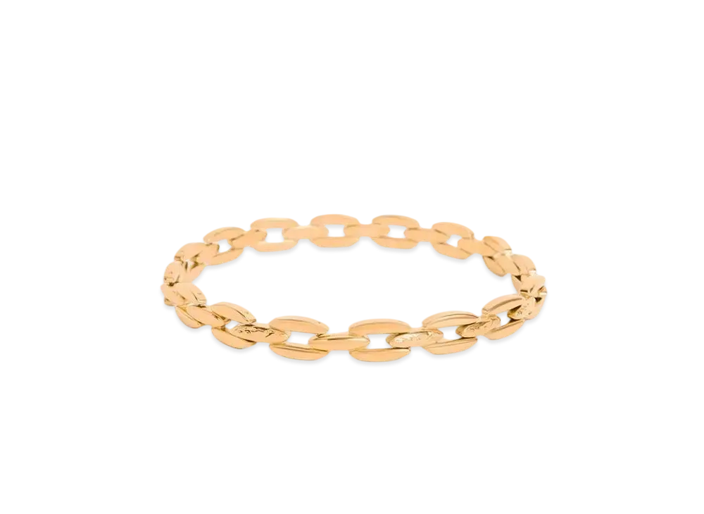 CHARLES & KEITH Chain Link Choker Necklace "Gold"