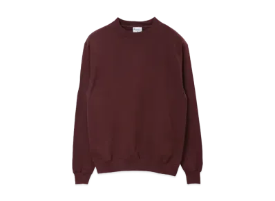 Champion Big Silhouette Sweatshirt "Maroon"
