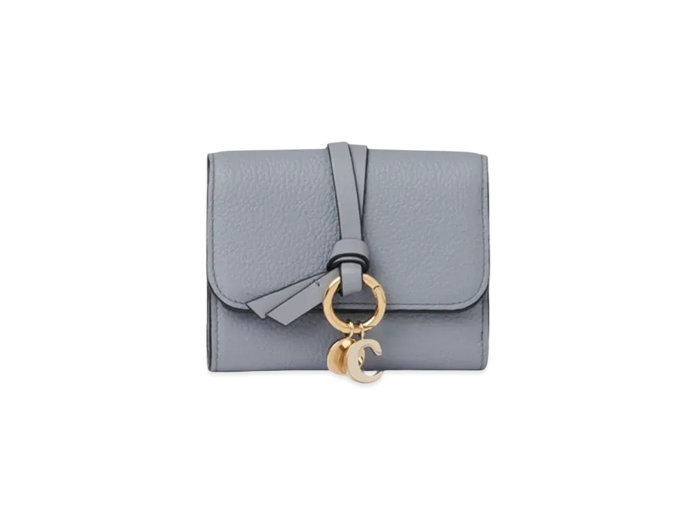 Chloe Alphabet Small Tri-Fold "Storm Blue"