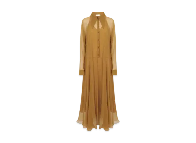 Chloe Fluid Long Shirt Dress In Silk Mousseline "Foamy Green"