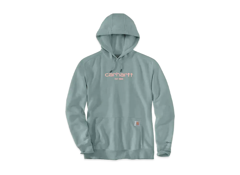 Carhartt Force Relaxed Fit Lightweight Logo Graphic Sweat Hoodie "Slate Green Heather"