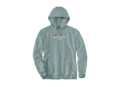 Carhartt Force Relaxed Fit Lightweight Logo Graphic Sweat Hoodie "Slate Green Heather"