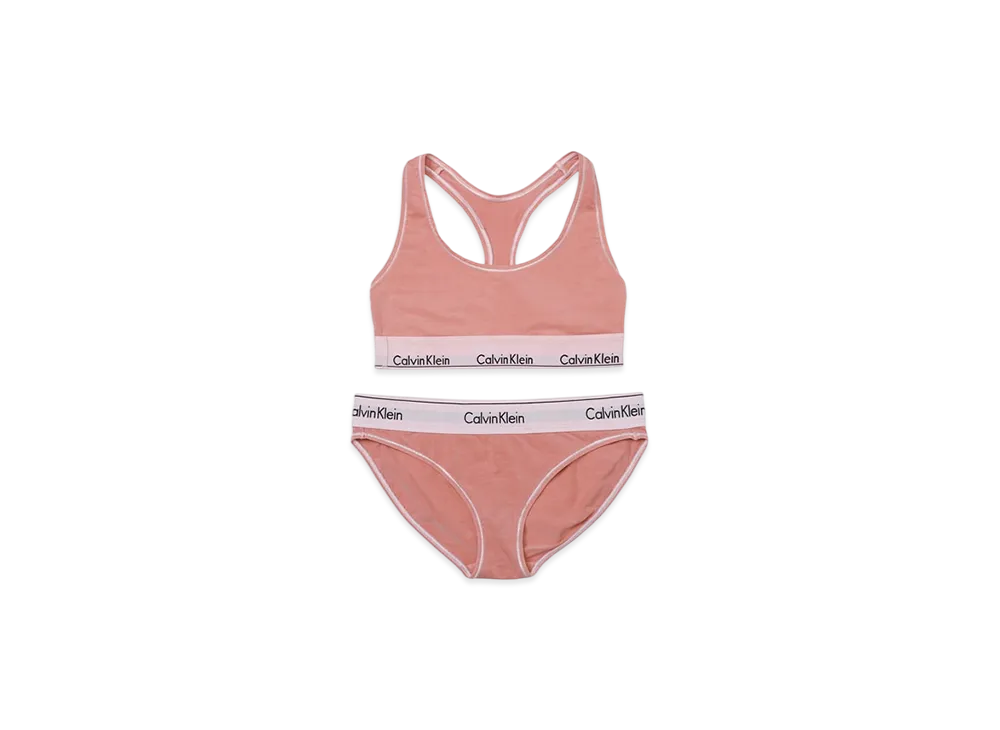 Calvin Klein Modern Cotton Shorts "Rust"