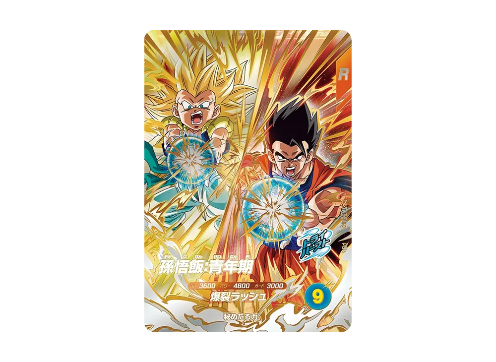 ドラゴンボールカード 1989 DRAGON BALL SON GOHAN CARDASS Son Gohan: Adolescent PUR [SDV8-PUR2](Dragon Ball Super Divers