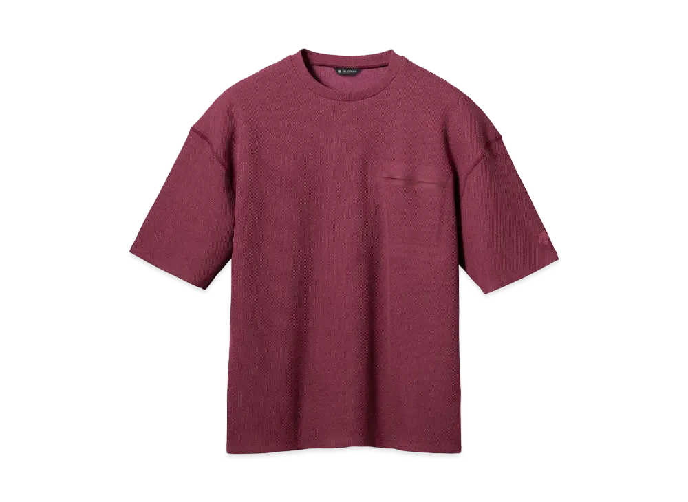 DESCENTE ALLTERRAIN 81 Thermal H/S Shirt "Bordeaux Red"