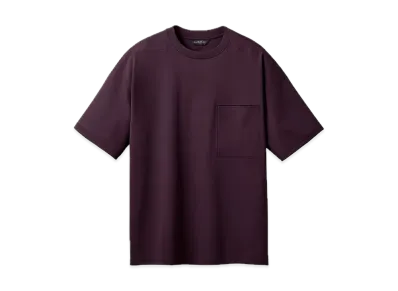 DESCENTE ALLTERRAIN Seamless Half Sleeve T-Shirt "Plum"