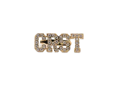 DIGAWEL CRST Logo Brooch "090/Gold"