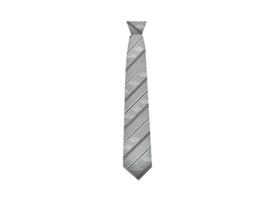 Dior x Air Jordan Neck Tie "Gray"
