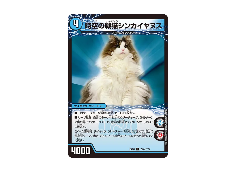 時空の戦猫シンカイヤヌス / 時空の戦猫ヤヌスグレンオー U [DMEX-08 224a 224b/???](ブラック・ボックス・パックシリーズ「謎のブラックボックスパック」)