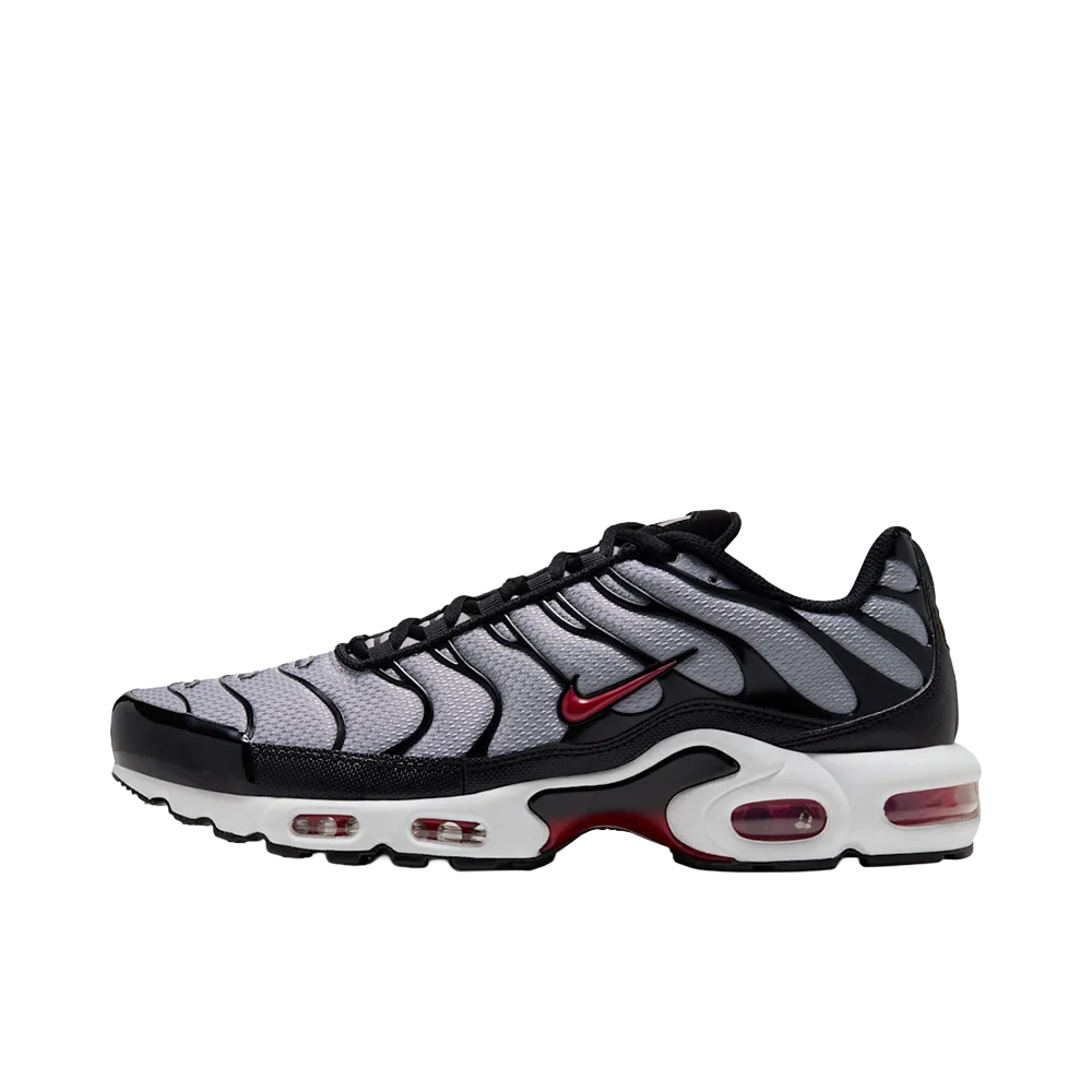 Nike Air Max Plus "Wolf Grey/Black"