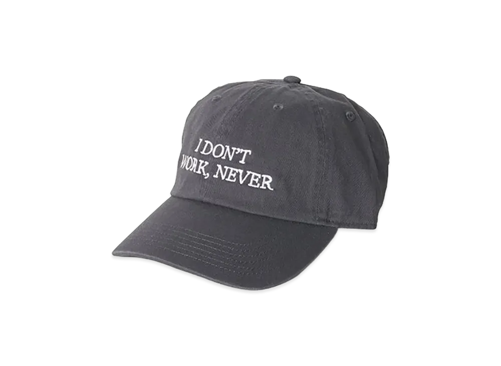 Do Nothing Congress "I DON’T WORK NEVER" "Gray"